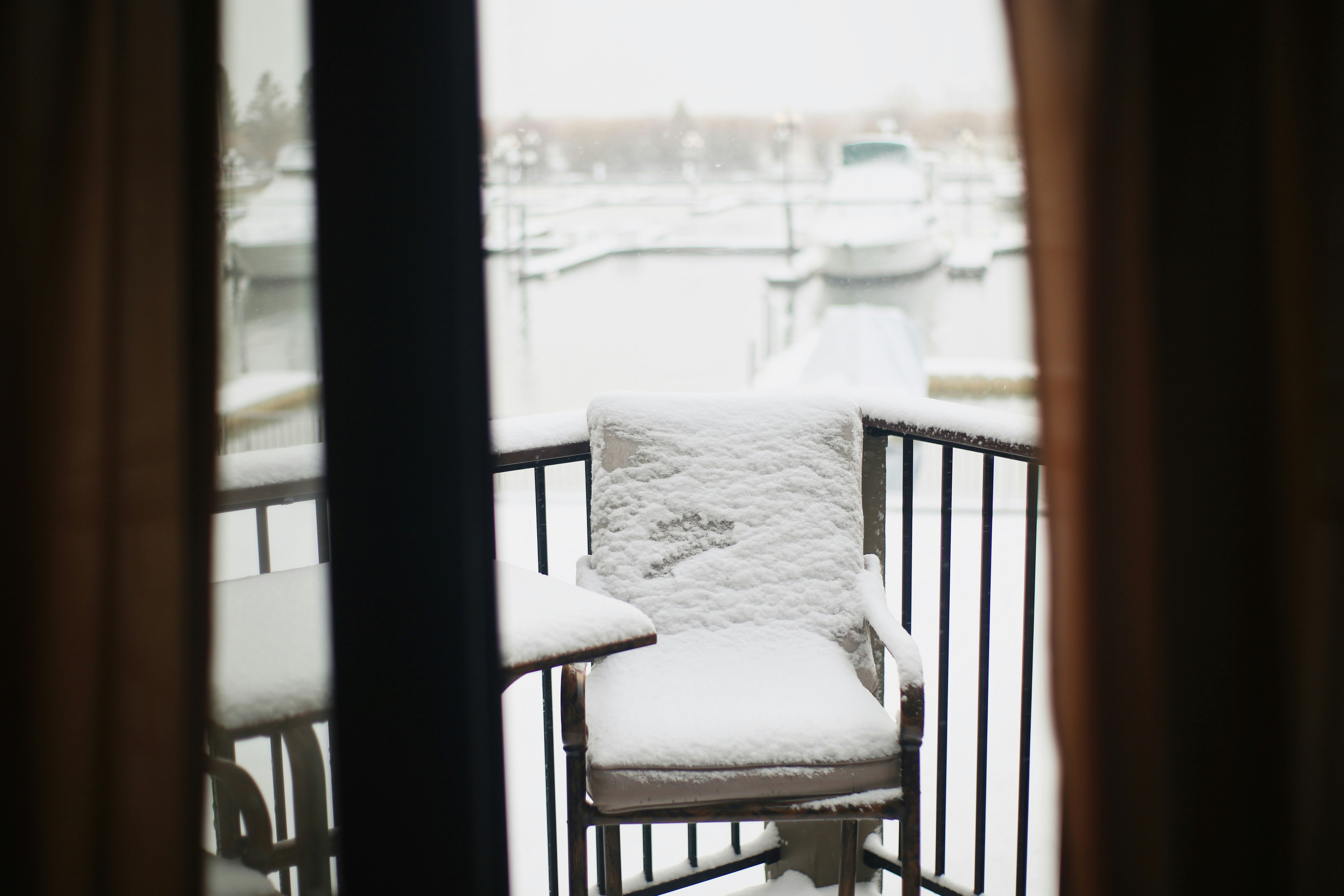 white padded black wooden chair